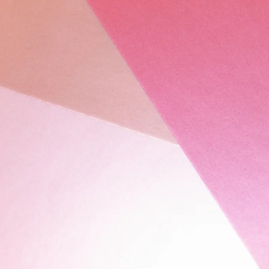 Estudio Norte — trabajo 5
